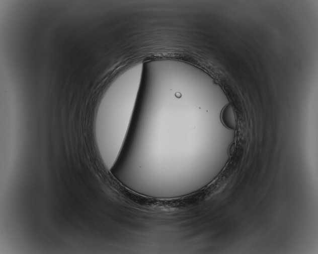 X0000086000648200703230850