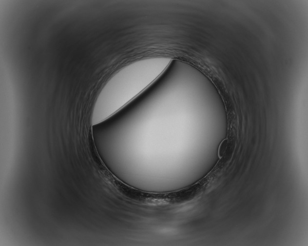 X0000086000649200703230850