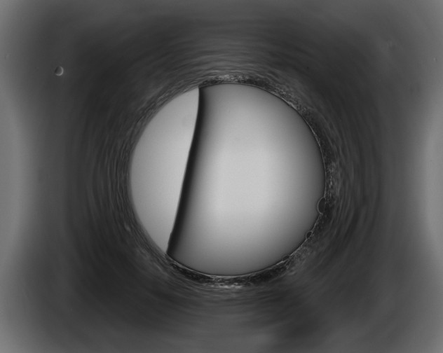 X0000086000650200703230850