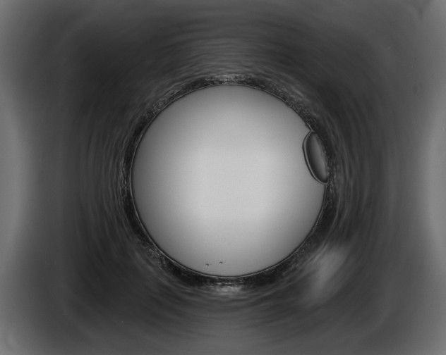 X0000086000651200703230850