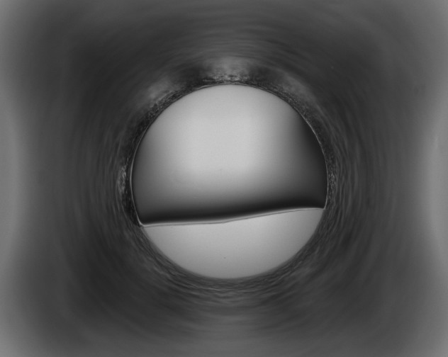 X0000086000652200703230850