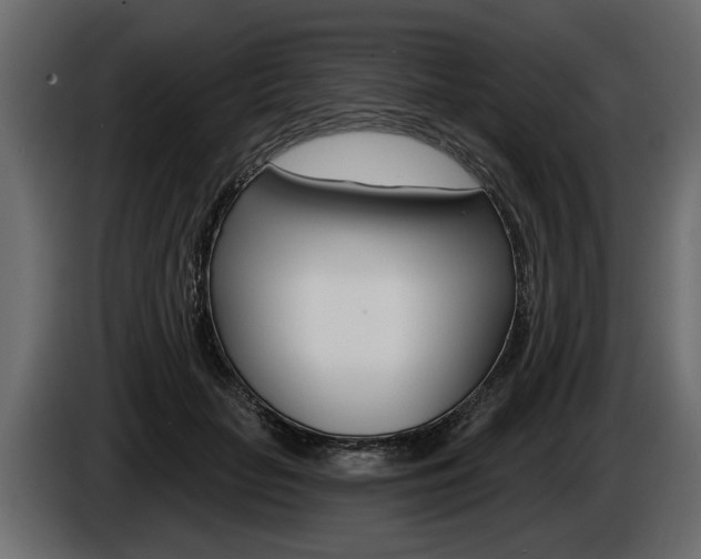 X0000086000653200703230850