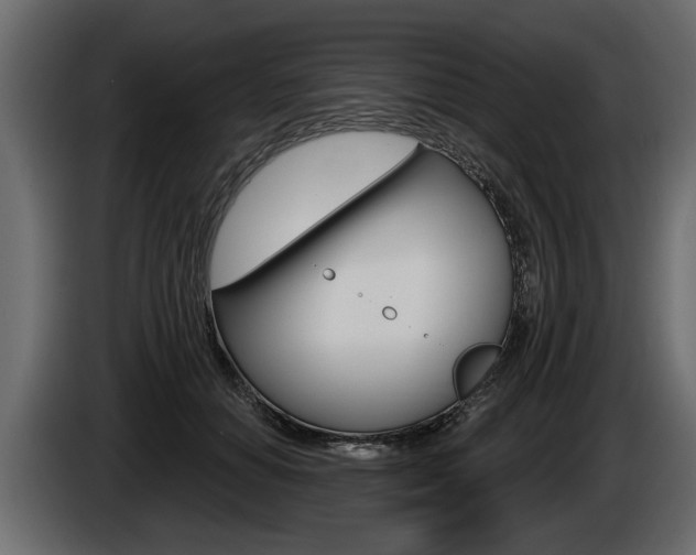 X0000086000654200703230850