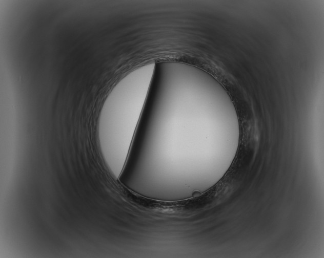 X0000086000655200703230850