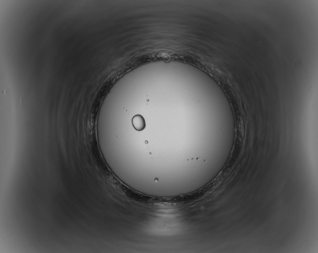 X0000086000657200703230850
