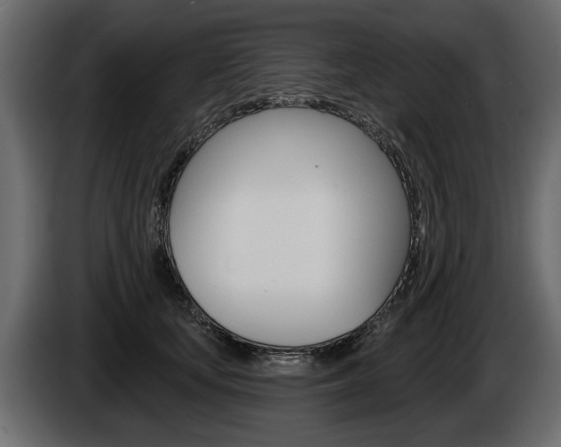 X0000086000659200703230850