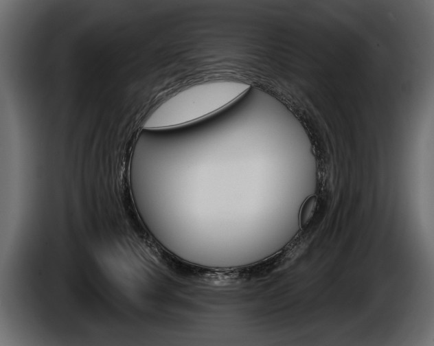 X0000086000660200703230850