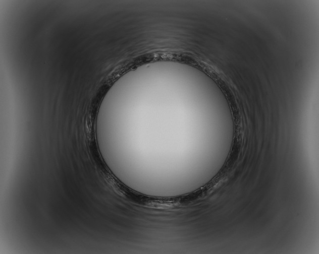 X0000086000661200703230850