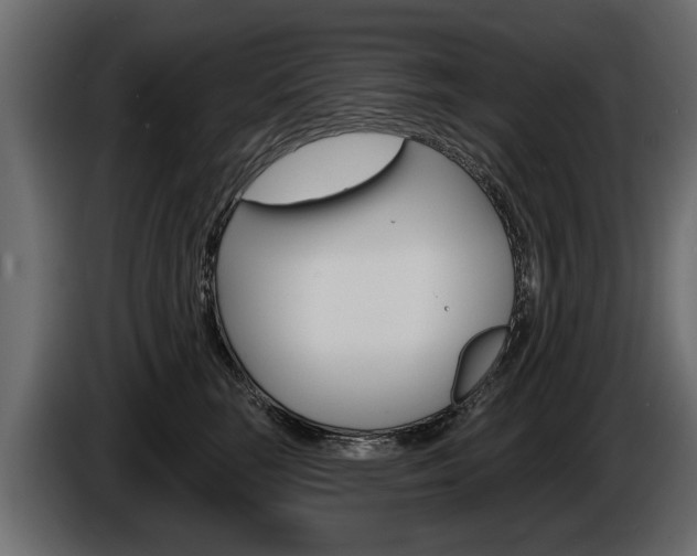 X0000086000663200703230850