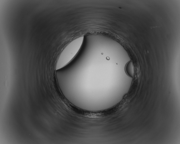 X0000086000664200703230850