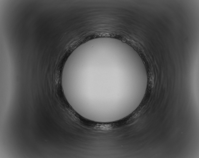 X0000086000665200703230850