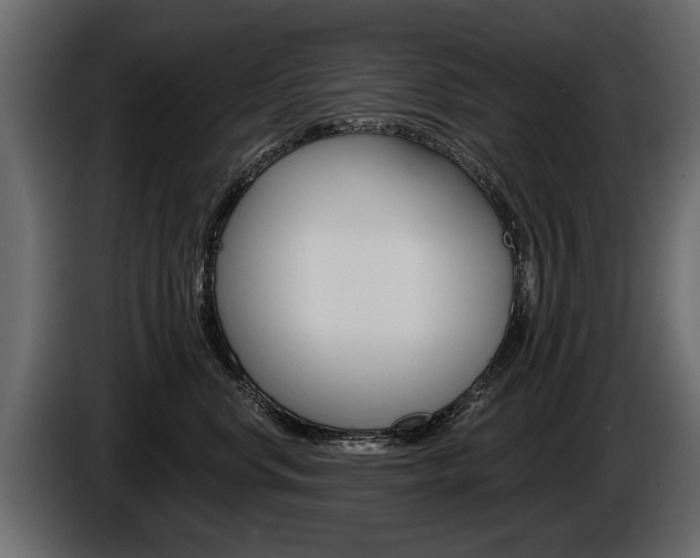 X0000086000668200703230850