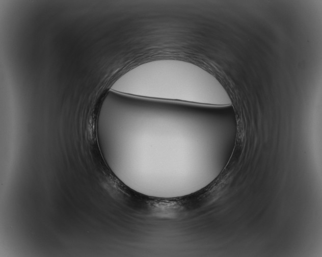 X0000086000669200703230850