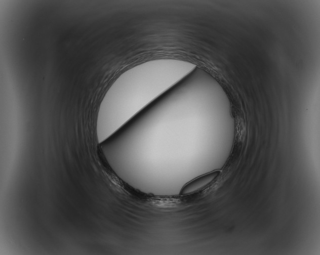 X0000086000670200703230850