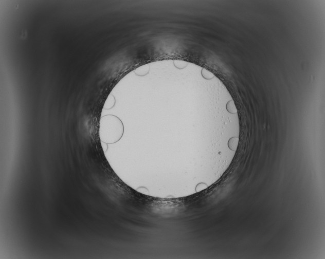 X0000086000672200703230850