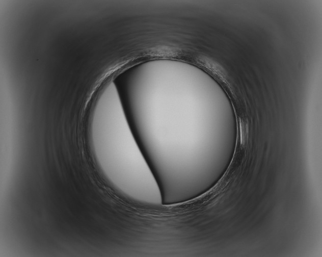 X0000086000675200703230850
