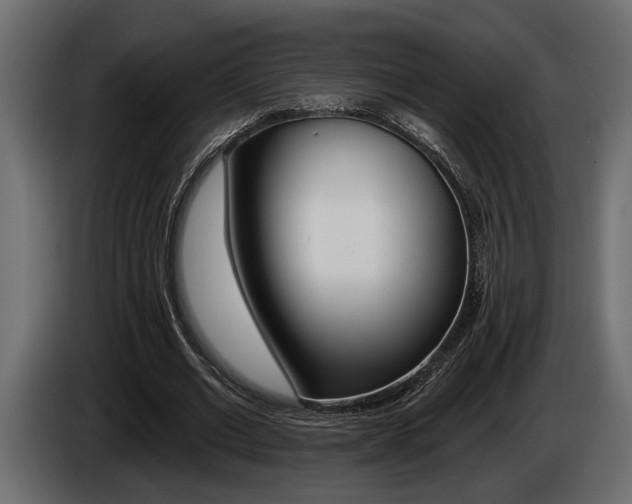 X0000086000677200703230850