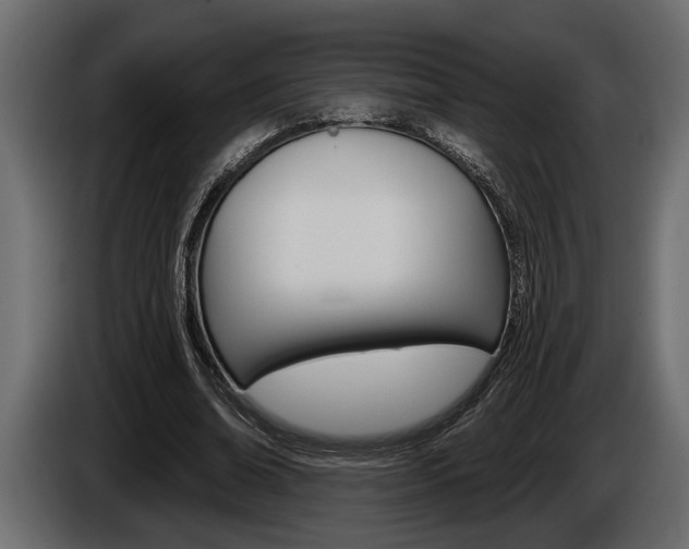 X0000086000678200703230849