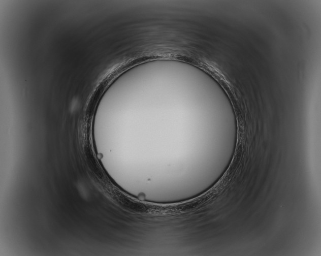 X0000086000679200703230849