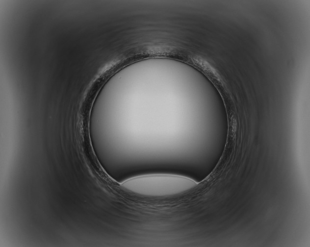 X0000086000684200703230849