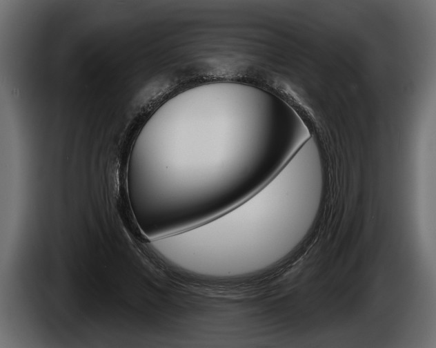 X0000086000685200703230849