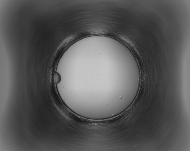 X0000086000686200703230849