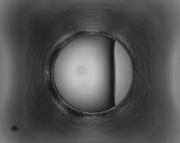 X0000086000688200703230849