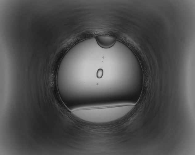 X0000086000689200703230849