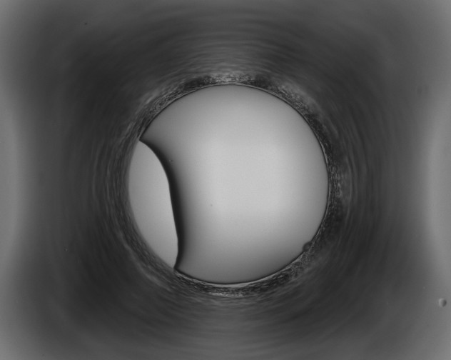 X0000086000690200703230849