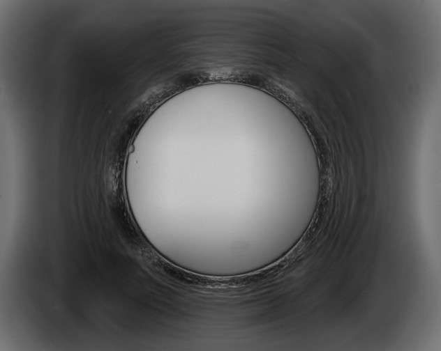 X0000086000691200703230849