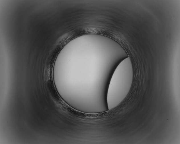 X0000086000694200703230849
