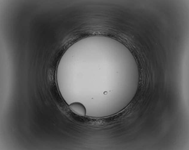 X0000086000695200703230849