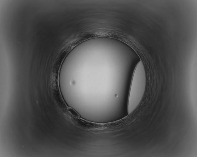 X0000086000696200703230849