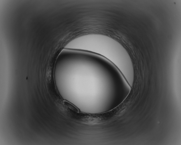 X0000086000697200703230849