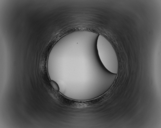 X0000086000698200703230849