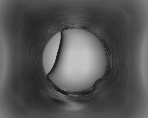 X0000086000699200703230849