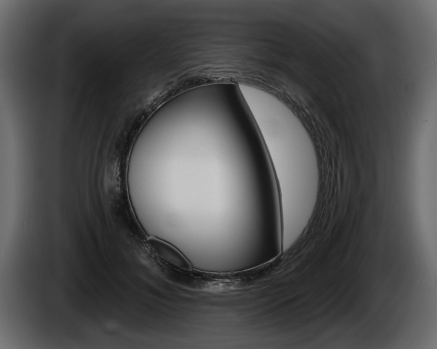 X0000086000700200703230849