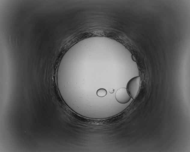 X0000086000702200703230849
