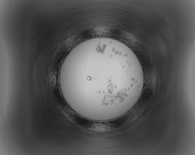 X0000086000703200703230849