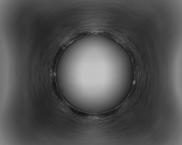 X0000086000704200703230849