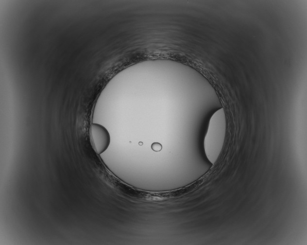 X0000086000706200703230849