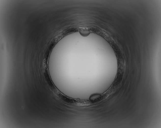 X0000086000707200703230849