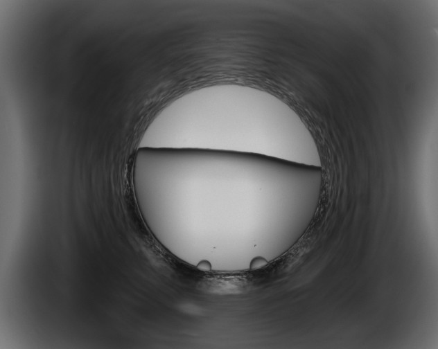 X0000086000711200703230849