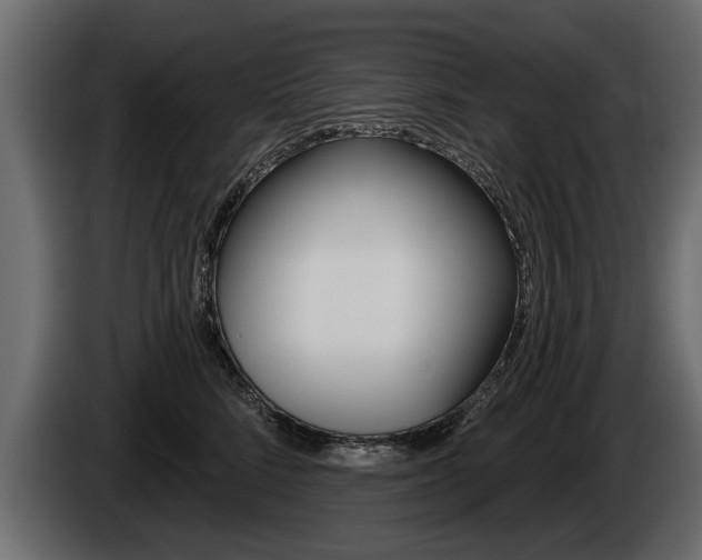 X0000086000712200703230849