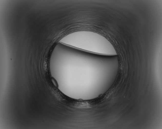 X0000086000715200703230849