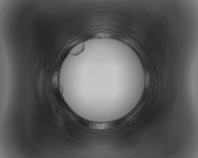 X0000086000717200703230849
