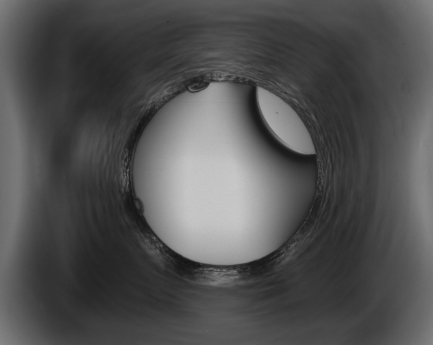 X0000086000719200703230849