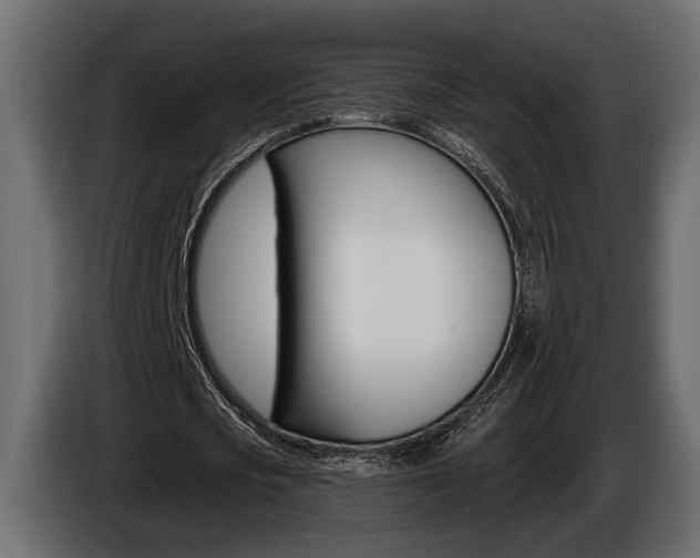X0000086000721200703230848