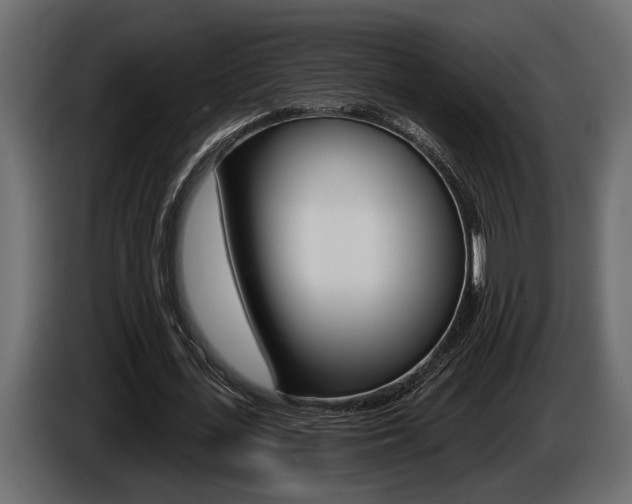 X0000086000723200703230848