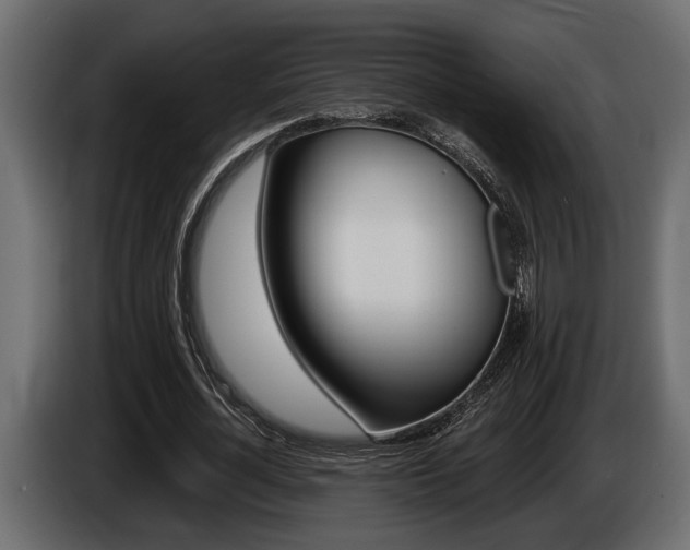 X0000086000724200703230848